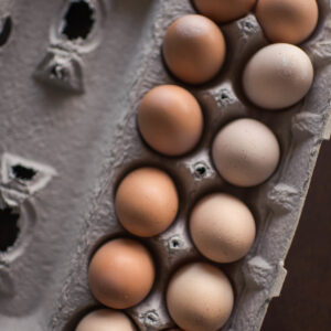 Pastured Eggs LARGE (One Dozen)